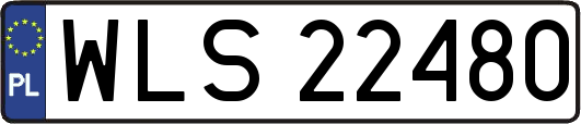 WLS22480