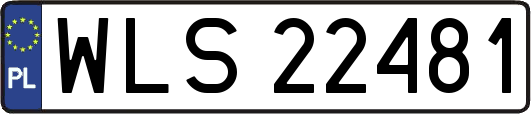 WLS22481