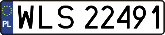 WLS22491