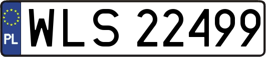 WLS22499