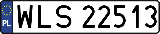 WLS22513