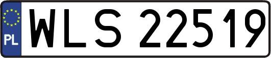 WLS22519