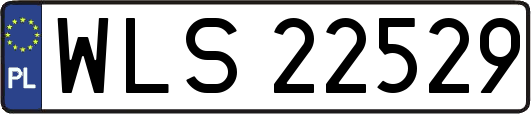 WLS22529
