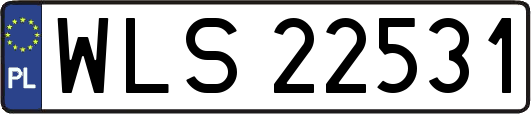 WLS22531