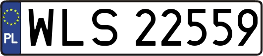 WLS22559