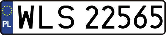 WLS22565