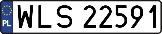 WLS22591