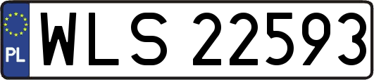 WLS22593
