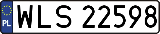 WLS22598