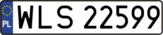 WLS22599