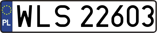 WLS22603