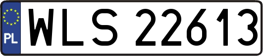 WLS22613