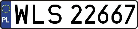 WLS22667