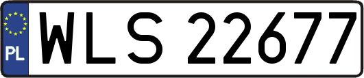 WLS22677