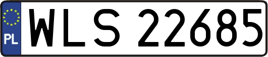 WLS22685
