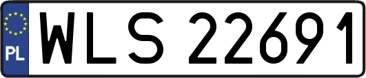 WLS22691