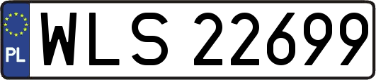 WLS22699