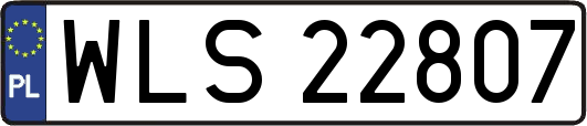WLS22807
