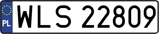 WLS22809