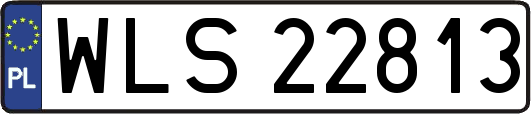 WLS22813