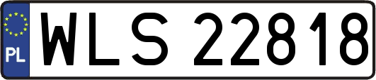 WLS22818