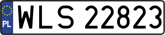 WLS22823