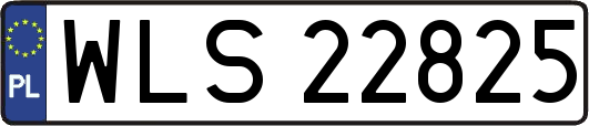 WLS22825