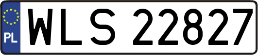 WLS22827