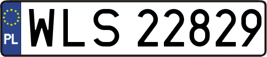 WLS22829
