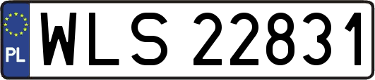 WLS22831