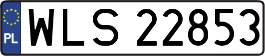 WLS22853