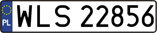 WLS22856