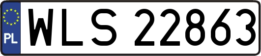 WLS22863