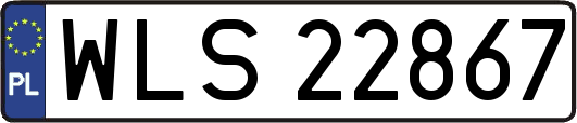 WLS22867