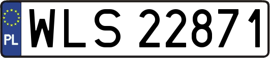 WLS22871
