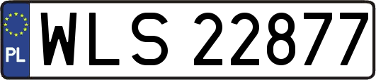 WLS22877