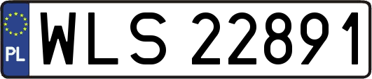 WLS22891