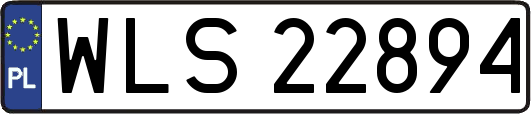 WLS22894