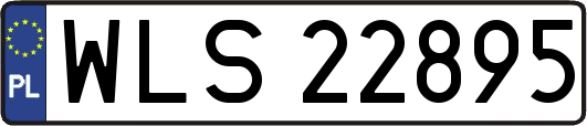 WLS22895