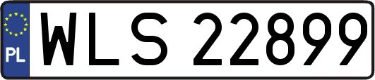 WLS22899