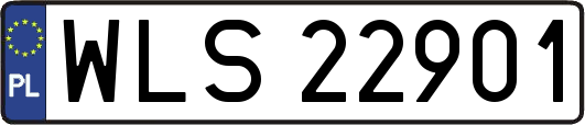 WLS22901
