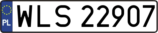 WLS22907
