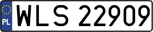 WLS22909