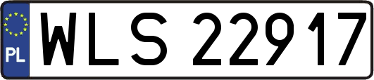 WLS22917