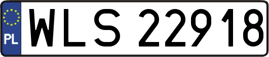 WLS22918