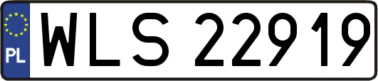WLS22919