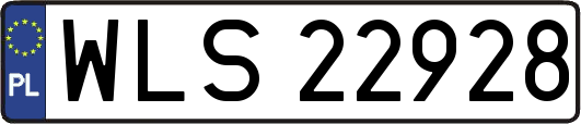 WLS22928