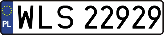 WLS22929