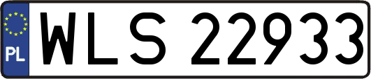 WLS22933
