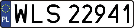 WLS22941